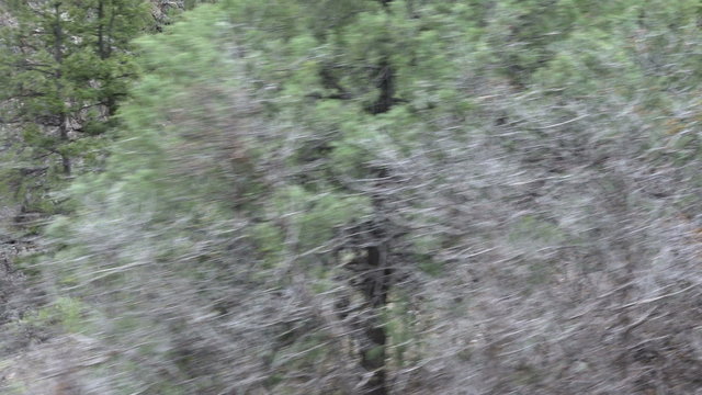 Colorado forest Rocky Mountains from moving vintage steam train 4K 168