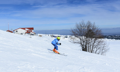 children ski downhill