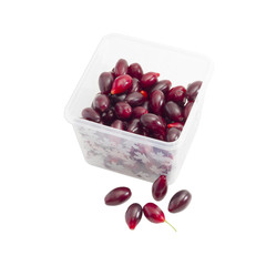Berries of cornus in tray on a light background