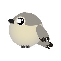 Cute bird