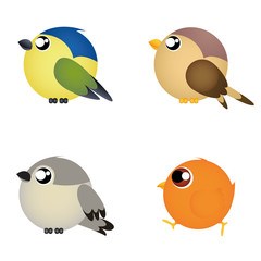 Cute Birds