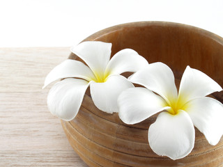 close up two blooming pure white plumeria or frangipani (leelawadee) in wooden bowl on wood...