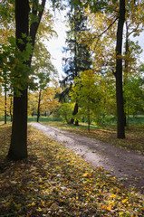 Naklejka premium Autumn colorful landscape in the Catherine park in Pushkin (Tsarskoe Selo), St.Petersburg, Russia. 