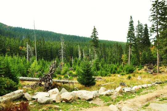 Fototapeta Jesień w górach, Karkonosze w Polsce