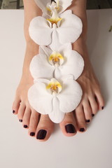 White orchid flowers female feet pedicure