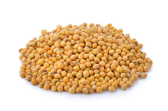 soy beans on white background