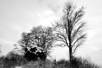 Wintertristesse