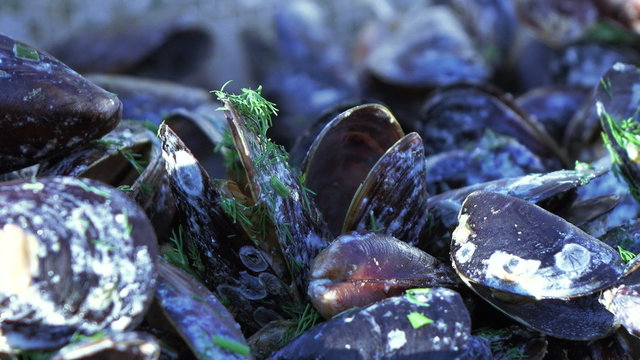 Cooking mussels