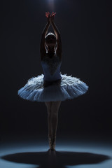 Portrait of the ballerina in ballet tatu on dack background