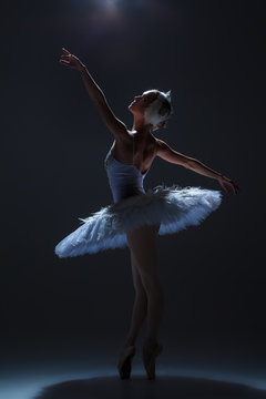 Portrait of the ballerina in ballet tatu on dack background