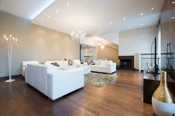 Fototapeta na wymiar Interior of a modern spacious living room with fireplace