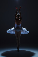 Obraz premium Portrait of the ballerina in ballet tatu on dack background