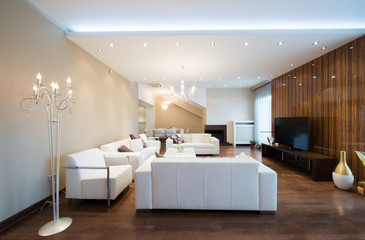 Interior of a spacious living room with fireplace in luxury apar