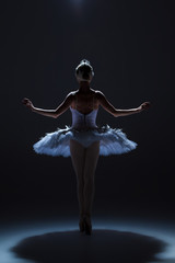 Portrait of the ballerina in ballet tatu on dack background © master1305