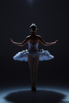 Portrait of the ballerina in ballet tatu on dack background