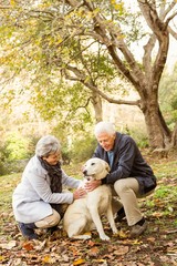 Fototapeta premium Senior couple in the park