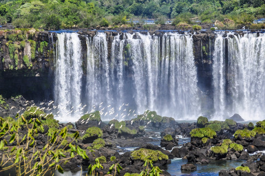 Waterfall and birds at Iguazu Falls,  Brazil
