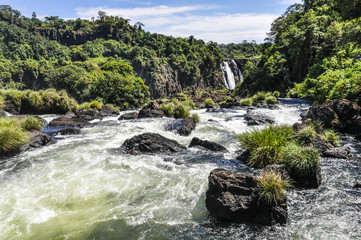 Fototapeta na wymiar Close view at Iguazu Falls, Brazil