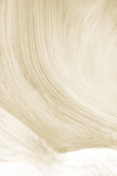 ＃4The wave/Grain, annual ring looks like a wave