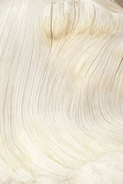 ＃1The wave/Grain, annual ring looks like a wave