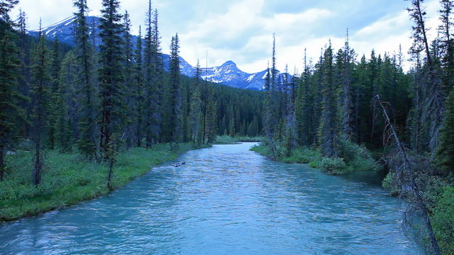 glacial river through forst P HD 7493