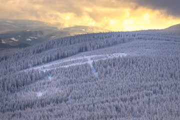Ski slope and trees in Czarna Góra