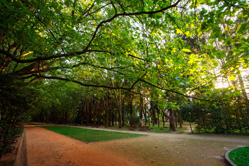 Urban green park with walking paths at sunset
