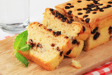 sponge cake with chocolate chips