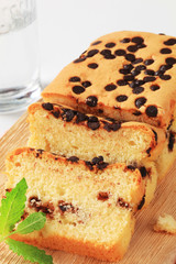 sponge cake with chocolate chips