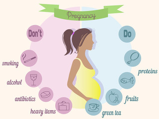 Pregnancy trimester infographic 