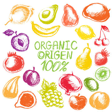 Hand drawn colorful fruits isolated, vector fresh organic chalk  fruits set on white background