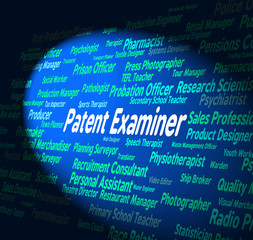 Obraz premium Patent Examiner Represents Legal Protection And Adjudicator