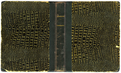 Obraz premium Old Open Book 1931