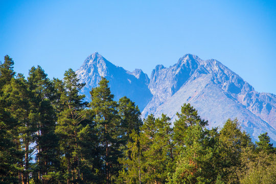 mountain  landspace