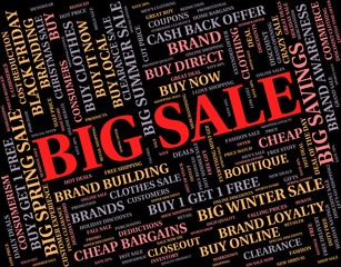 Obraz premium Big Sale Indicates Save Promo And Bargain