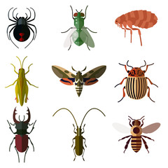 Set of insect flat icons2