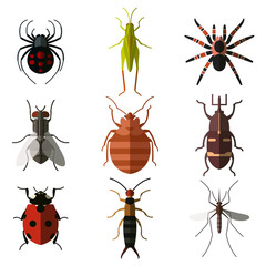 Set of insect flat icons3