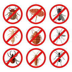 Set of pest insect icons