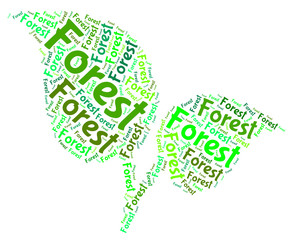 Forest Word Indicates Forested Woodlands And Forestation
