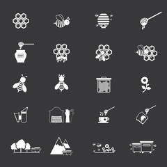 Bee and honey icon set