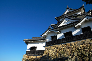 Fototapeta na wymiar Hikone castle