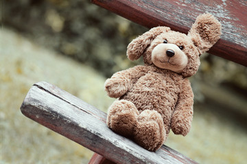 Cute toy bear