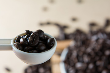 roasted coffee