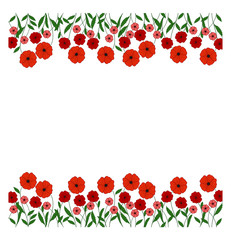 red poppies vector illustration