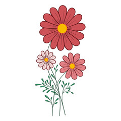 red daisy vector illustration