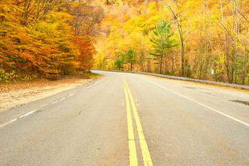 Fototapeta premium Autumn scene with road