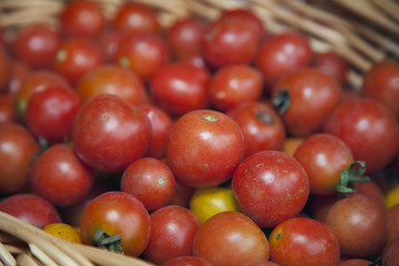 Organic tomato on farmer's market.