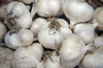 Heap of garlic.