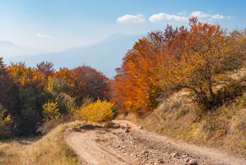 Fototapeta premium Earth road in autumnal mountains, mountain pasture Demerdzhi, Crimean peninsula