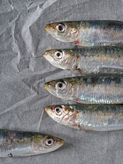 Fresh sardines on greaseproof, baking kitchen paper.